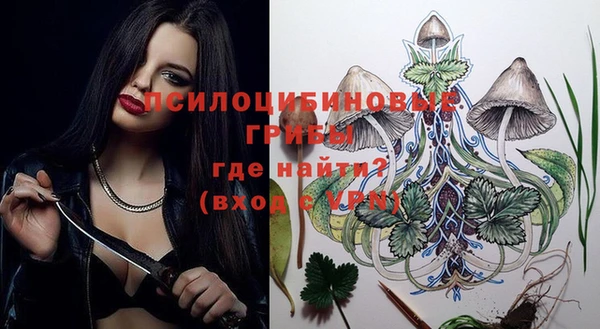 мдпв Арсеньев