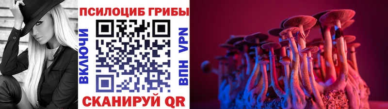 Псилоцибиновые грибы прущие грибы  закладки  Сенгилей 